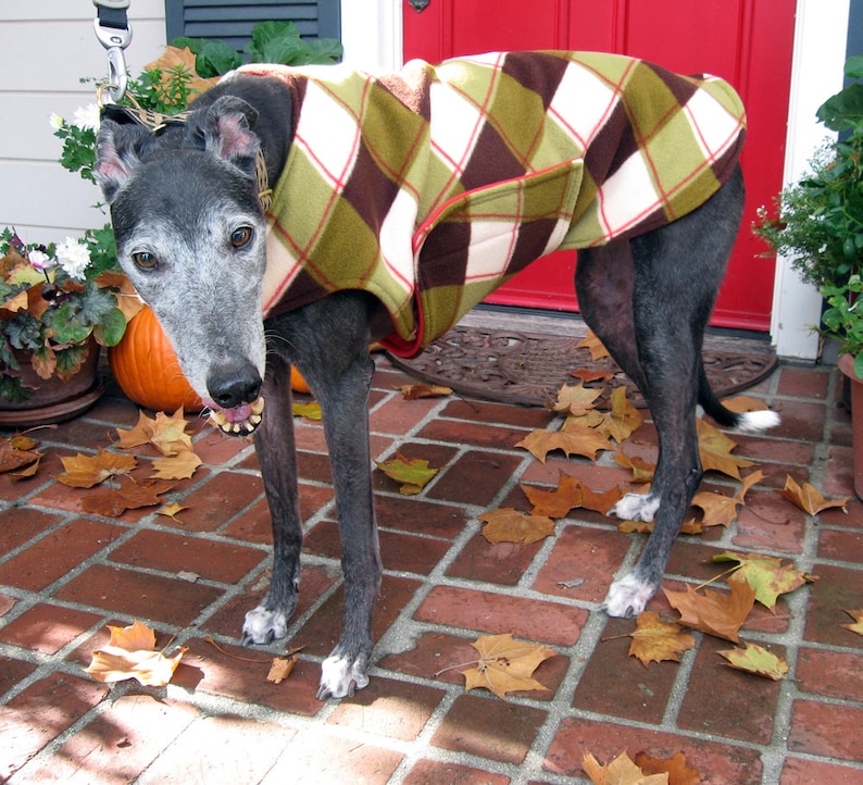 Greyhound Coat XL Dog Jacket Big Dog Coat Red Green Etsy