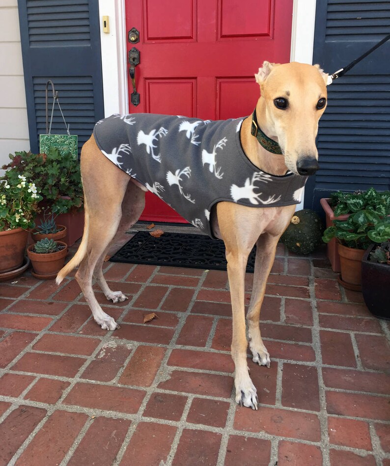 Greyhound Coat XL Dog Jacket Big Dog Coat White Deer Etsy