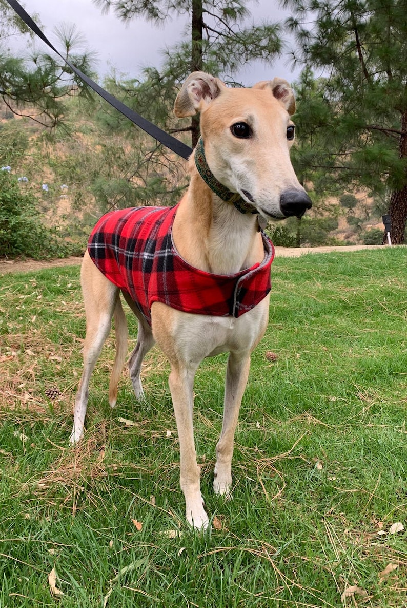 Greyhound Coat XL Dog Jacket Big Dog Coat Red Black Etsy