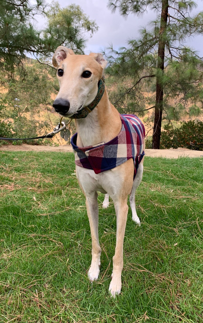 Greyhound Coat Greyhound Jacket XL Dog Coat Cranberry Etsy