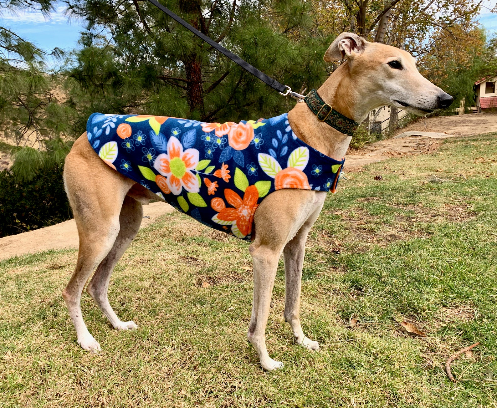 Greyhound Coat Extra Large Dog Coat Dog Jacket Navy Etsy