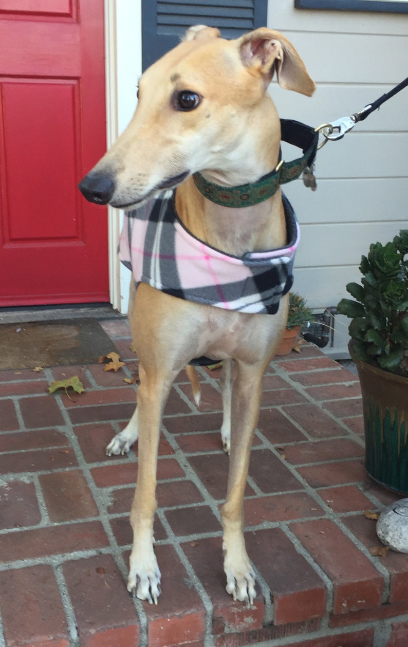 Greyhound Coat XL Dog Coat Pink and Black Plaid Fleece Etsy