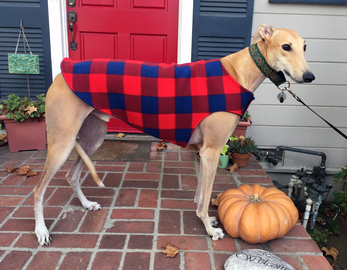 Greyhound Coat Dog Coat XL Dog Jacket Red and Navy Etsy