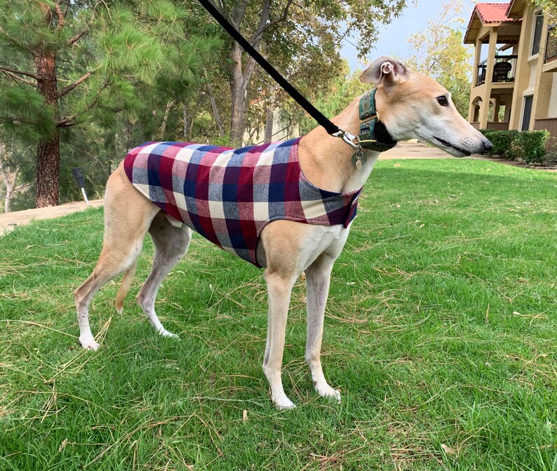 Greyhound Coat Greyhound Jacket XL Dog Coat Cranberry Etsy