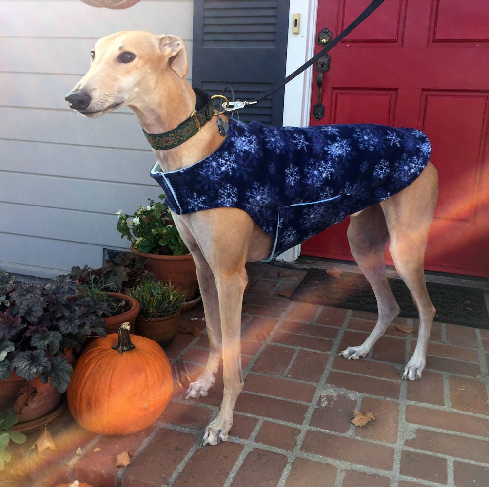 Greyhound Coat Extra Large Dog Coat Big Dog Jacket Navy Etsy