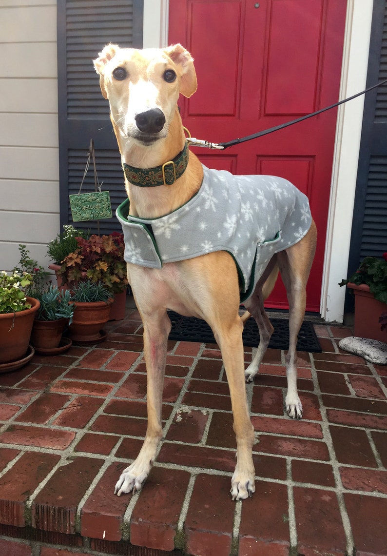 Greyhound Coat Extra Large Dog Coat Dog Jacket Dove Gray, & White Snowflake Print Fleece with Hunter Green Fleece Lining image 4