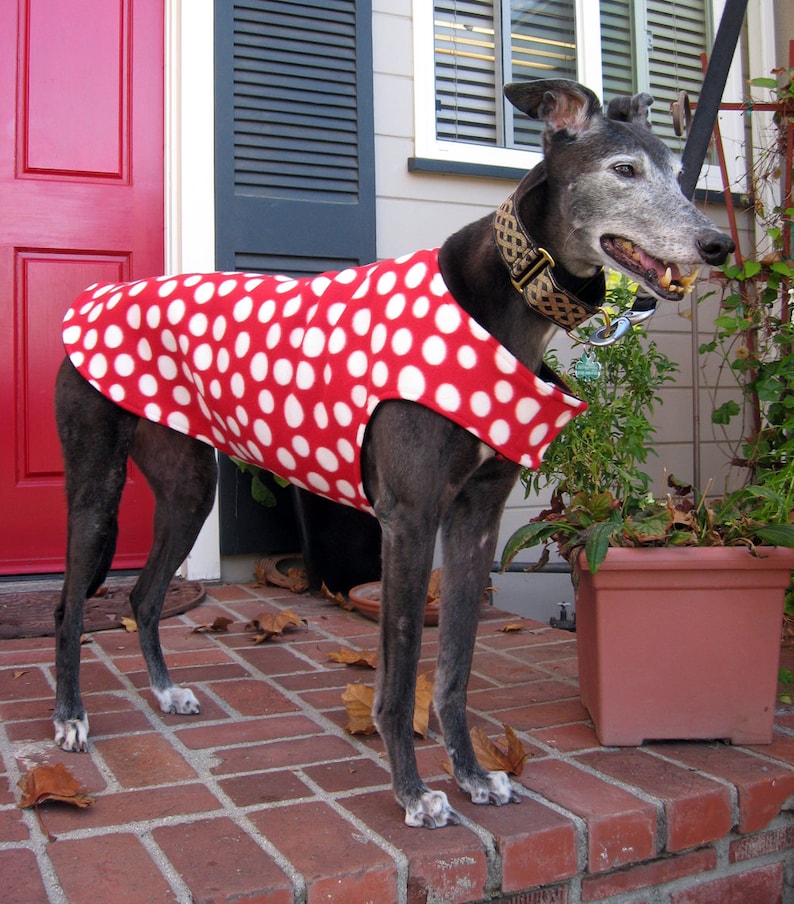 Greyhound Coat Big Dog Coat Dog Jacket Various Sizes Etsy