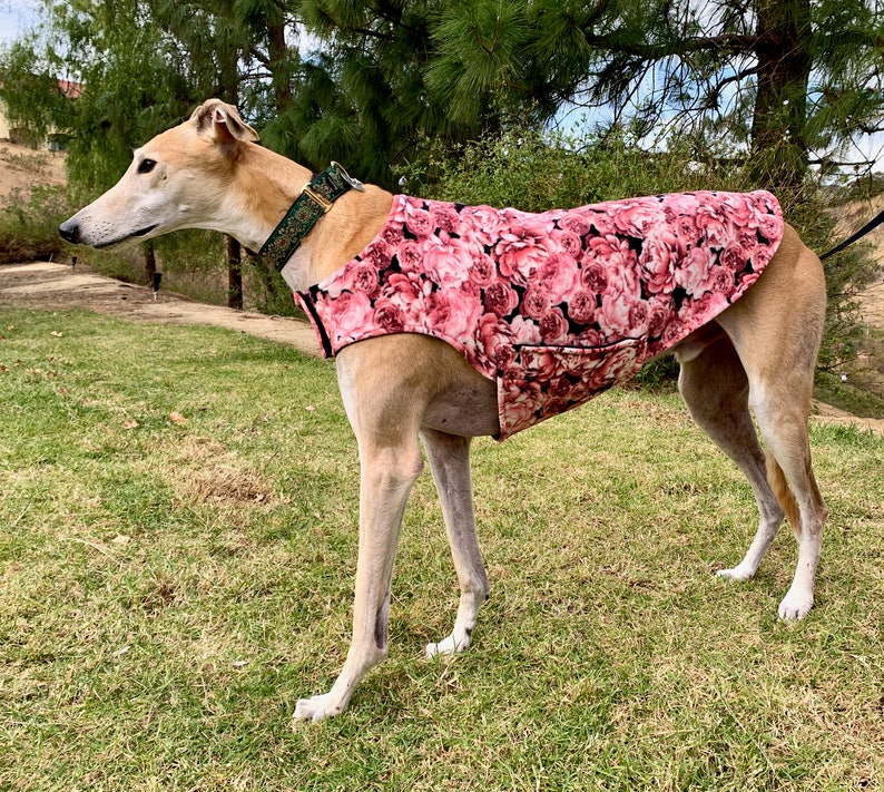 Greyhound Coat XL Dog Coat Pink Rose and Black Floral Etsy