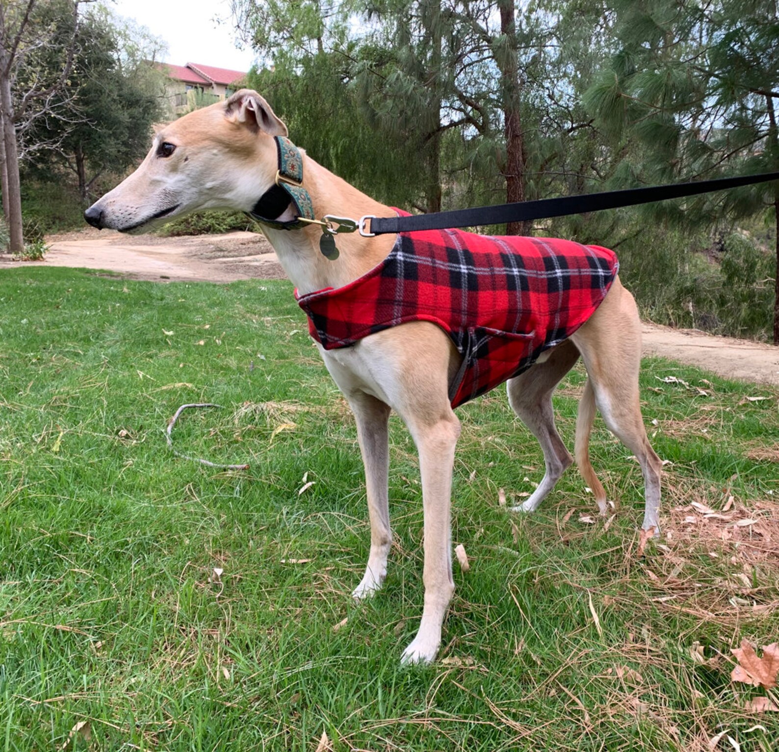Greyhound Coat XL Dog Jacket Big Dog Coat Red Black Etsy