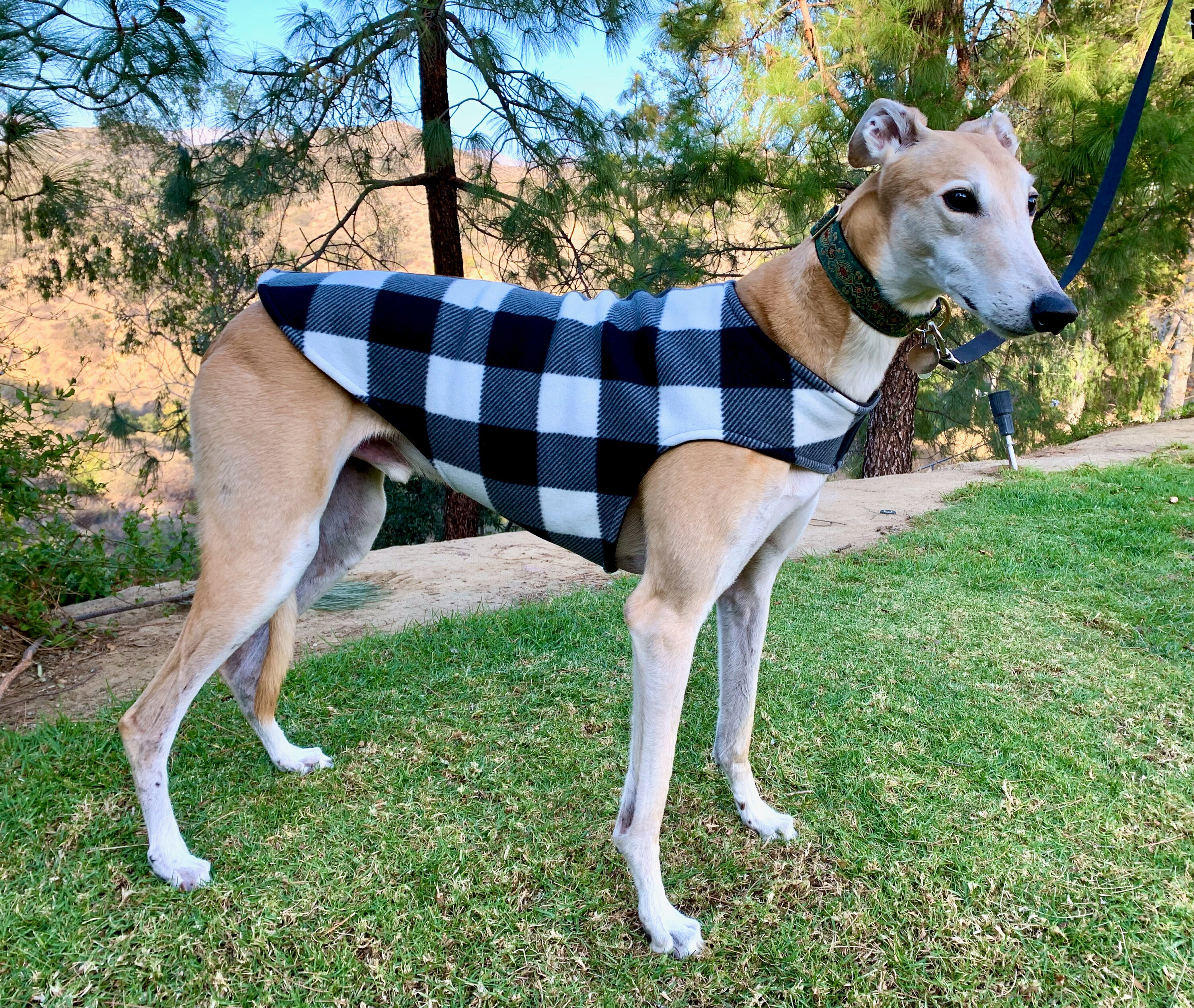 Greyhound Coat XL Dog Jacket Dog Coat Black and White