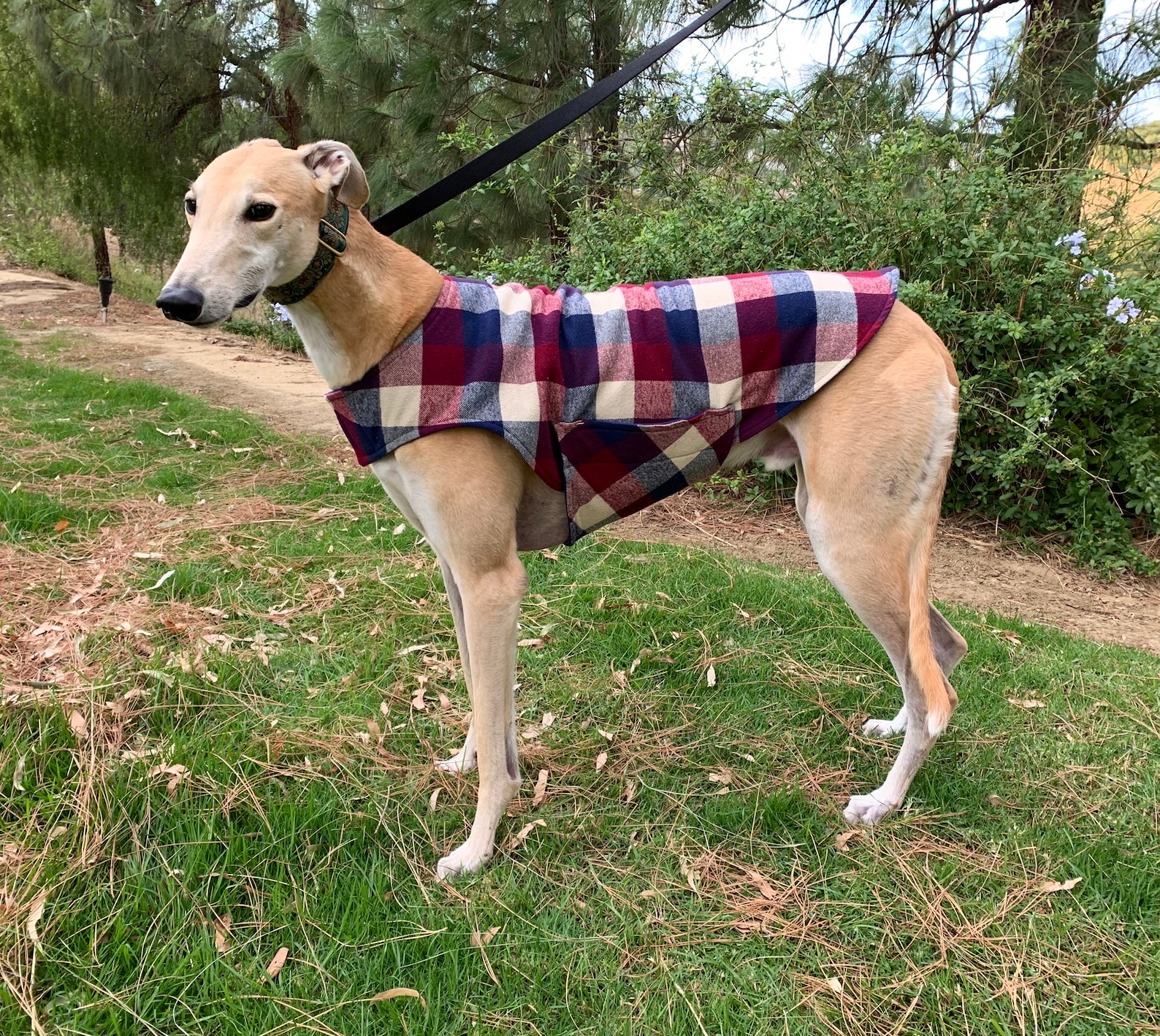 Greyhound Coat Greyhound Jacket XL Dog Coat Cranberry Etsy