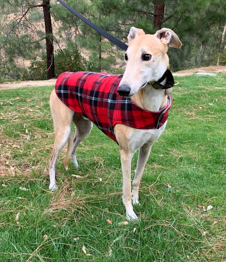 Greyhound Coat XL Dog Jacket Big Dog Coat Red Black Etsy