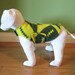 see more listings in the Extra Small Dog Coats section