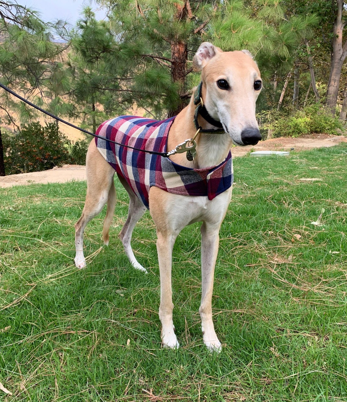 Greyhound Coat Greyhound Jacket XL Dog Coat Cranberry Red Etsy