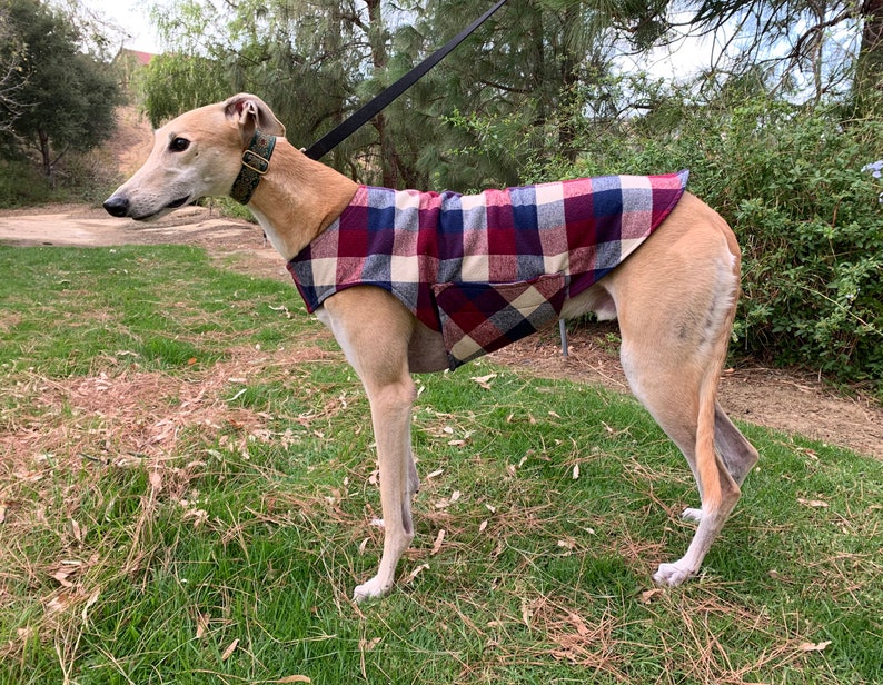 Greyhound Coat Greyhound Jacket XL Dog Coat Cranberry Etsy
