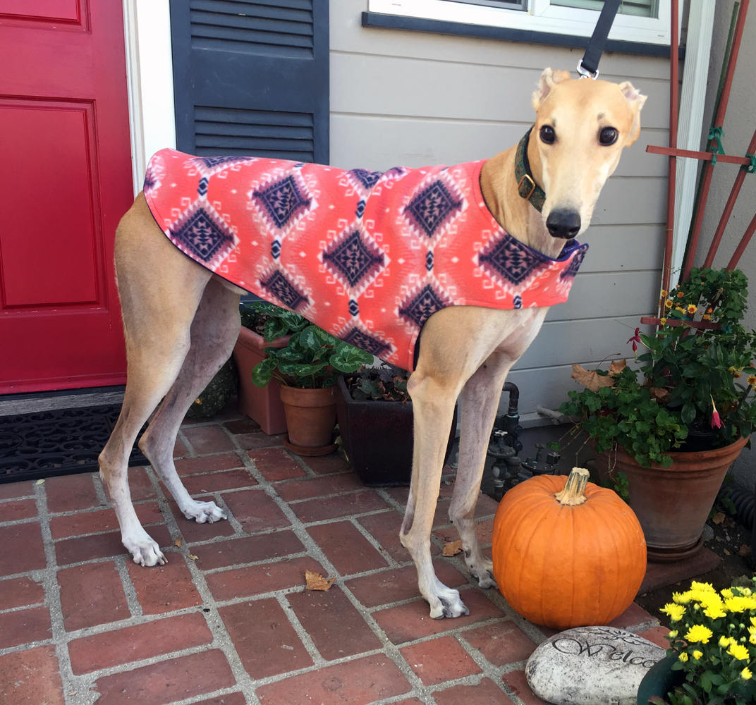 Greyhound Dog Coat XL Dog Coat Big Dog Jacket Southwest Etsy