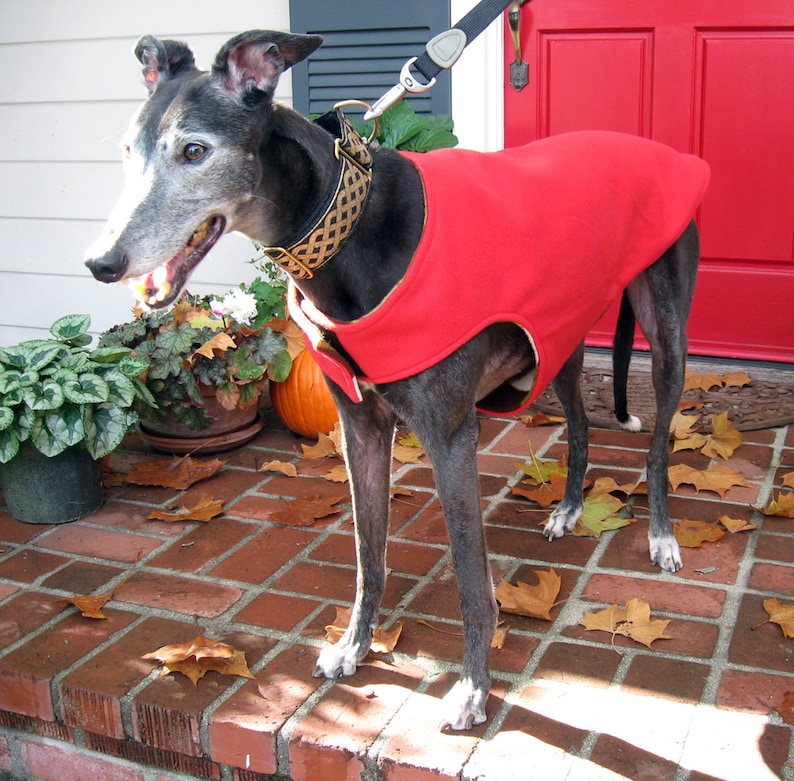 Greyhound Coat XL Dog Jacket Big Dog Coat Red Green Etsy