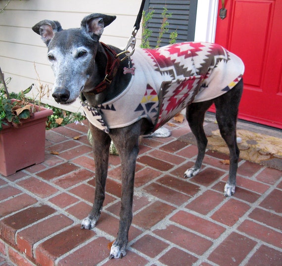 Etsy greyhound coat cheap