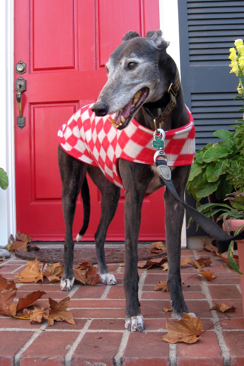 Greyhound Coat Large Dog Jacket Big Dog Coat Red, Gray, and Ivory Argyle Fleece with Red Fleece Lining image 5