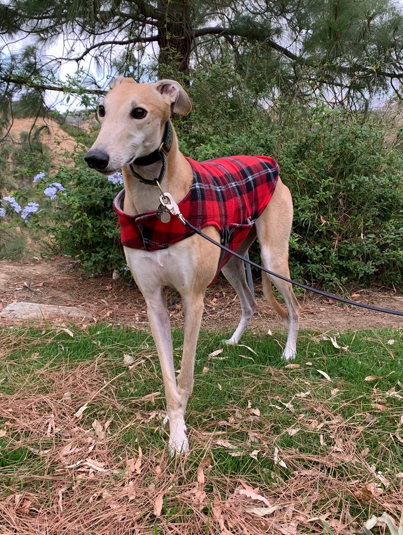 Greyhound Coat XL Dog Jacket Big Dog Coat Red Black Etsy