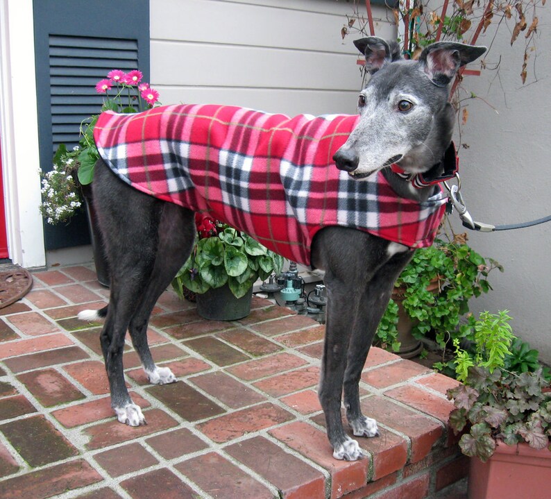 Custom Fleece Greyhound Coat & Dog Jacket XL Dog Coat Etsy