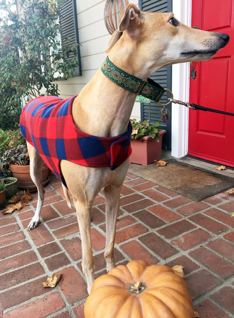 Greyhound Coat Dog Coat XL Dog Jacket Red and Navy Etsy