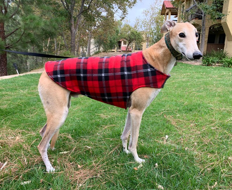 Greyhound Coat XL Dog Jacket Big Dog Coat Red Black Etsy