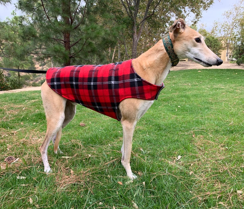 Greyhound Coat XL Dog Jacket Big Dog Coat Red Black Etsy