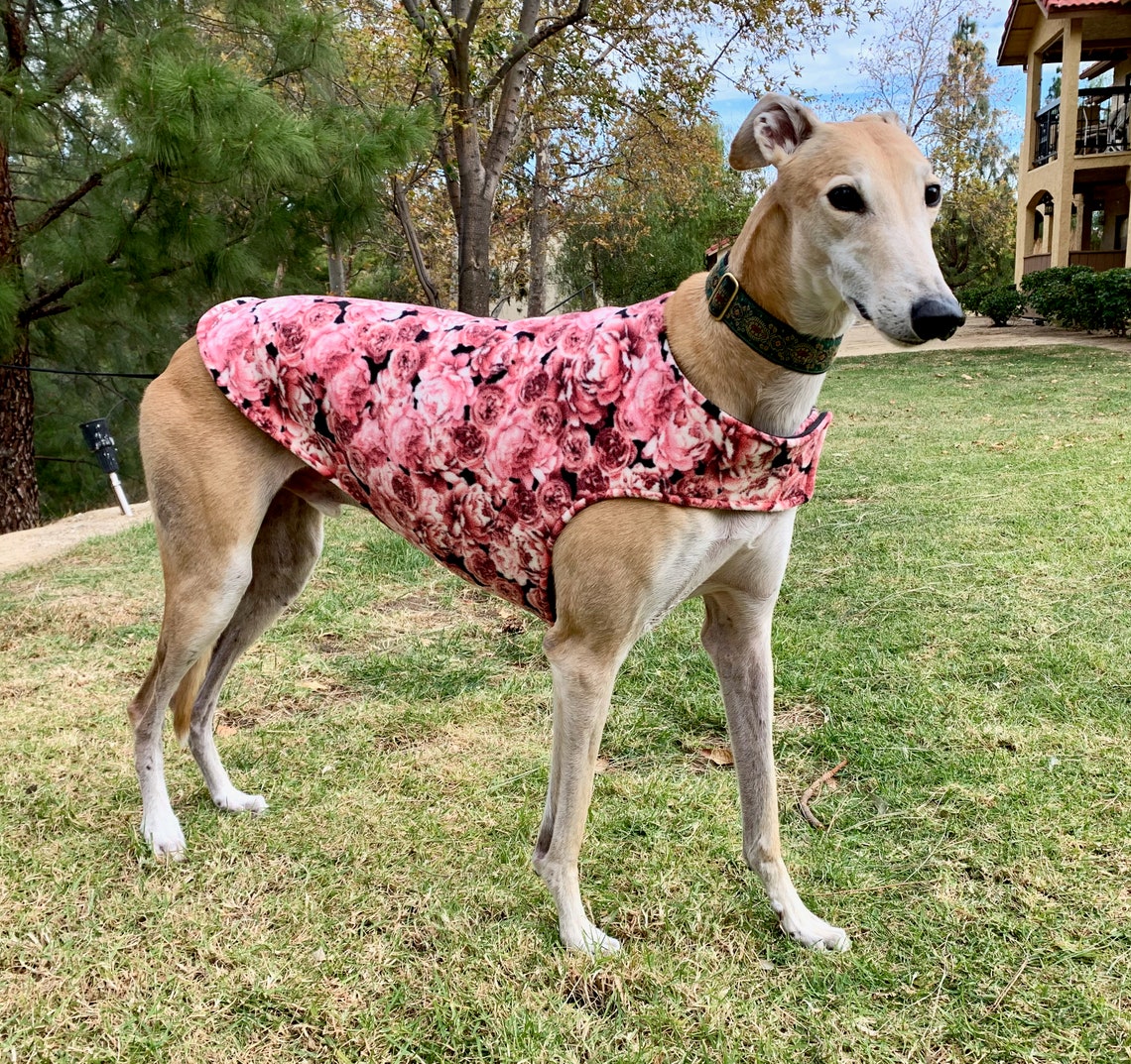 Greyhound Coat XL Dog Coat Pink Rose and Black Floral Etsy