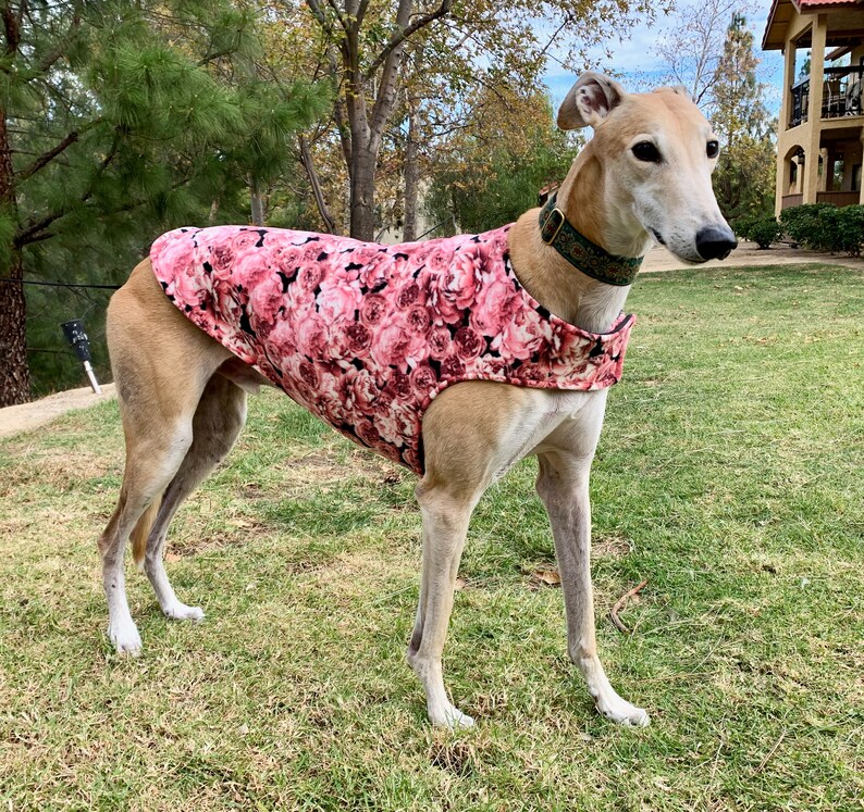 Greyhound Coat XL Dog Coat Pink Rose and Black Floral Etsy
