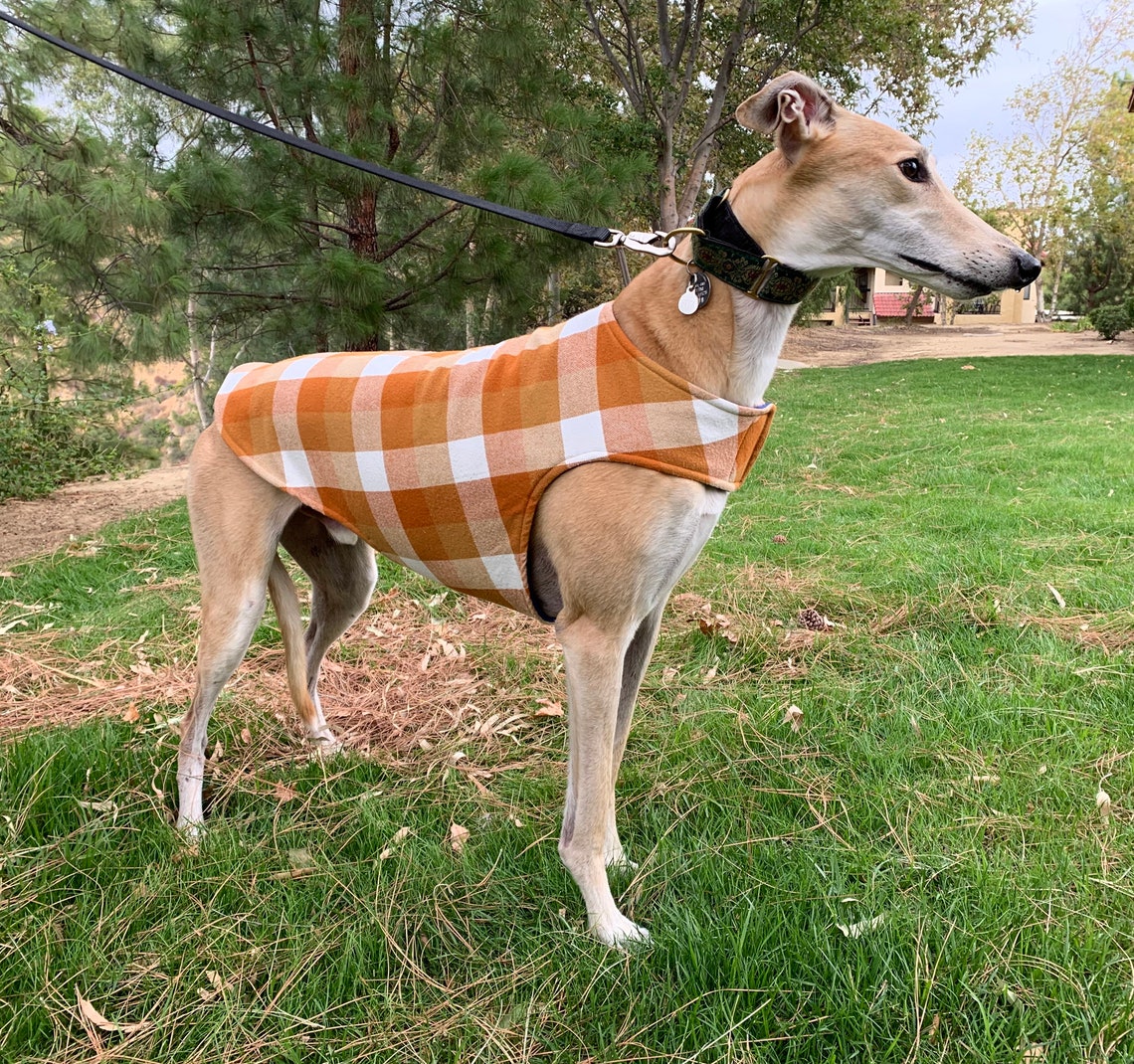 Greyhound Coat XL Dog Jacket Big Dog Coat Pumpkin Gold Etsy