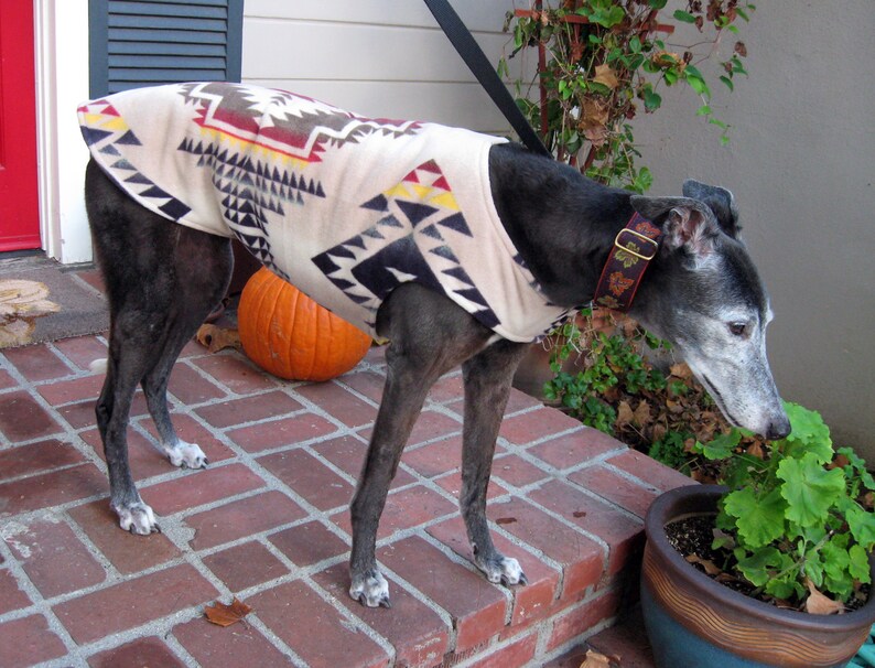 Greyhound Coat XL Dog Coat Southwest Print Tan Olive Etsy