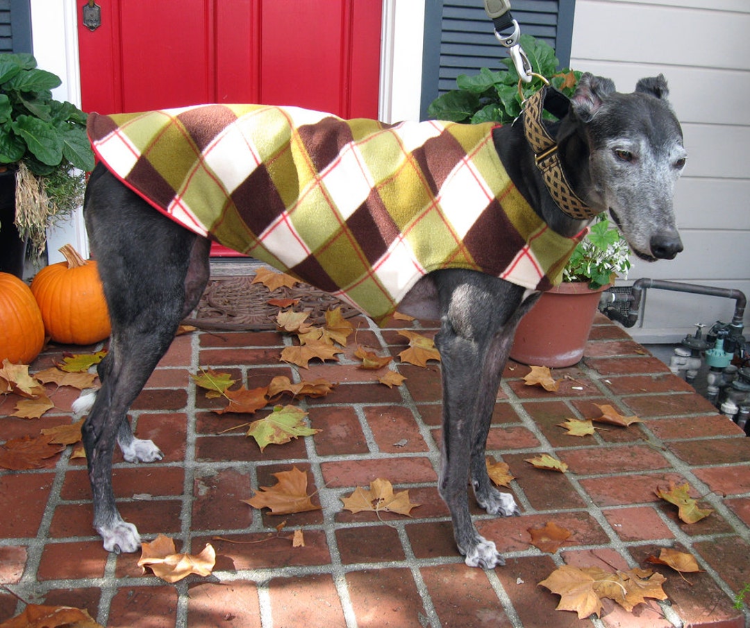 Greyhound Coat XL Dog Jacket Big Dog Coat Red Green Etsy