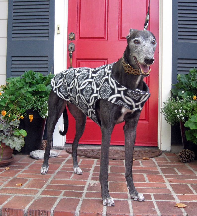 Custom Fleece Greyhound Coat Bespoke Dog Coat Extra Large Etsy Australia