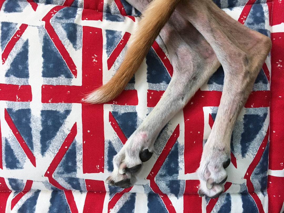 Small Dog Crate Mat Crate Pad Pet Cushion Small Etsy