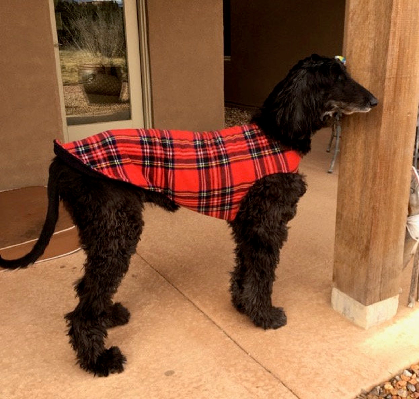 Greyhound Coat XL Dog Jacket Dog Coat Red Blue Black Etsy