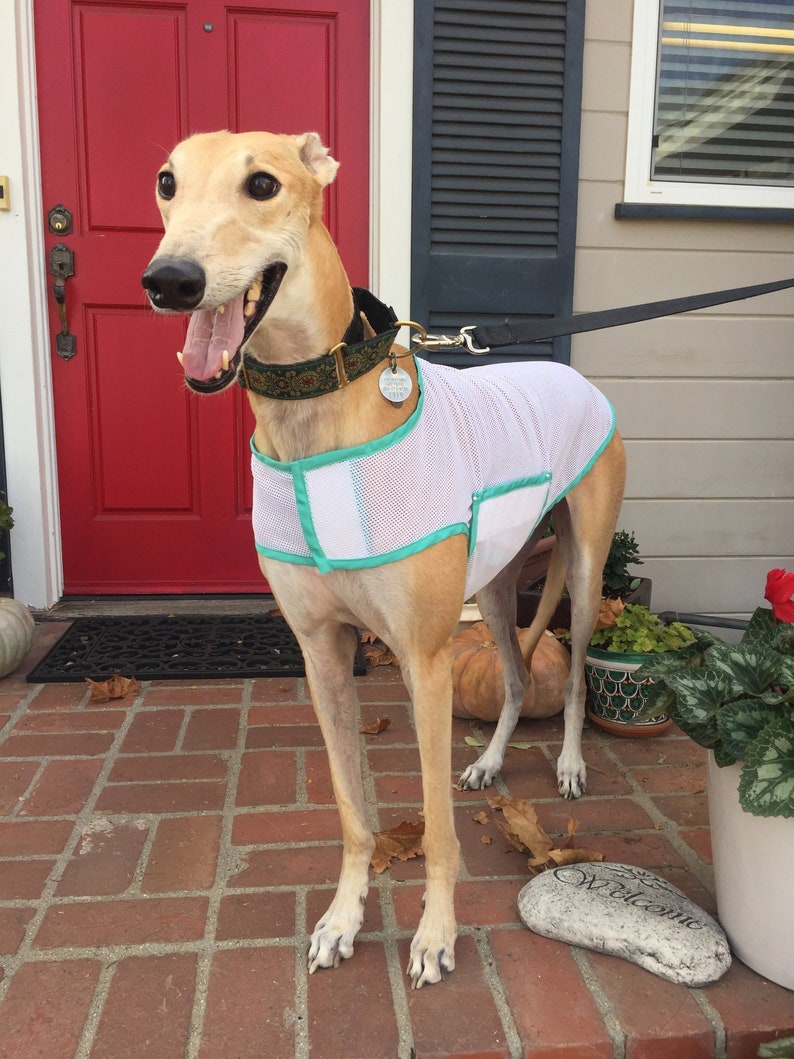 Greyhound Coat XL Jacket Dog Jacket White Athletic Mesh Etsy