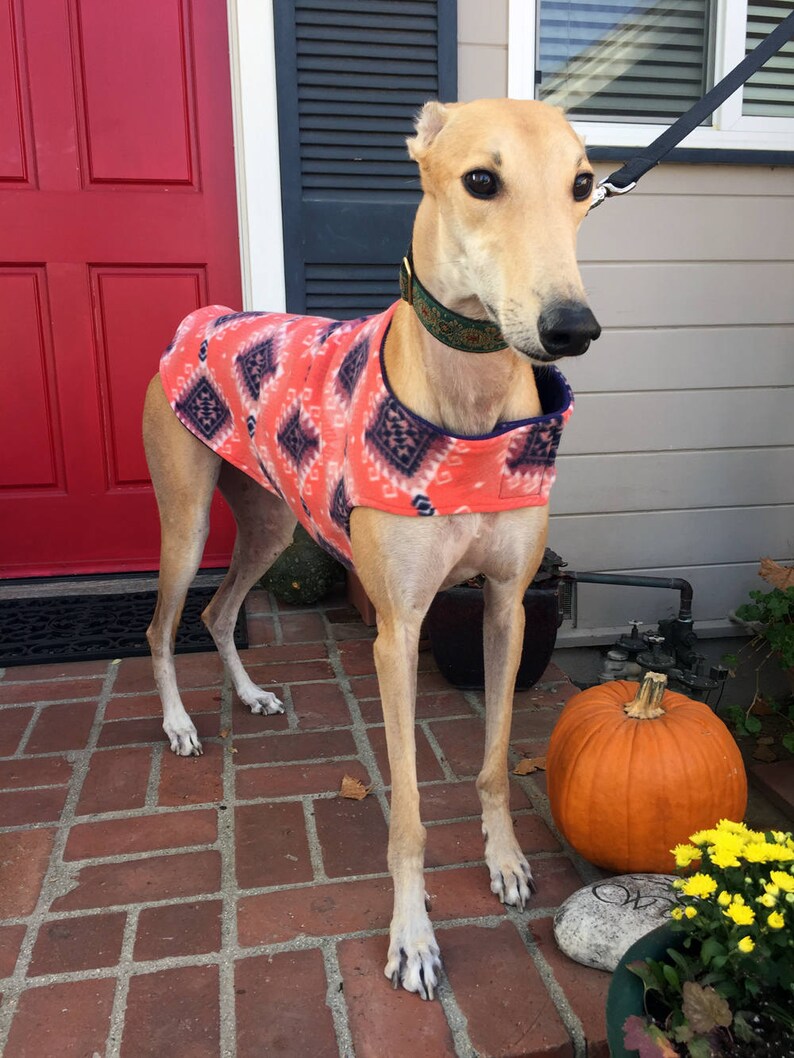 Greyhound Dog Coat XL Dog Coat Big Dog Jacket Southwest Etsy