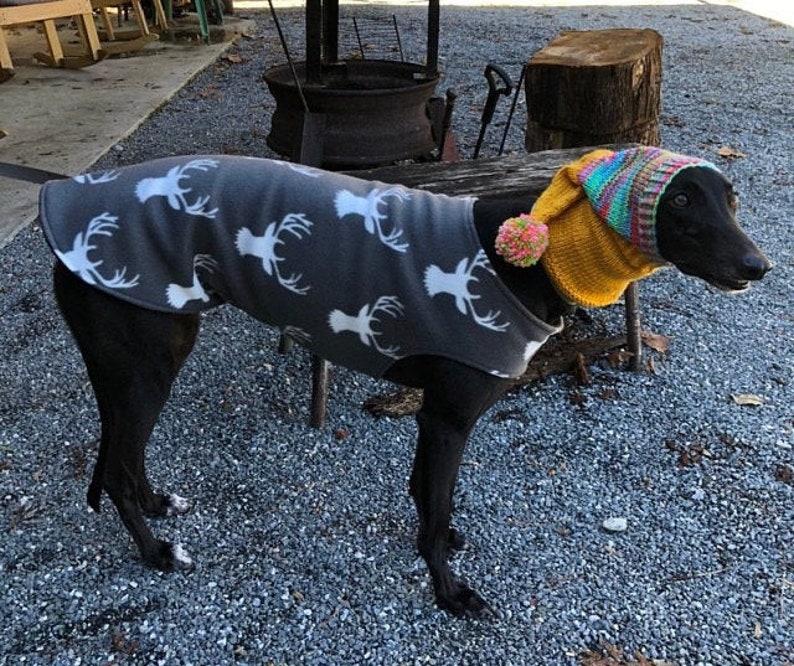 Greyhound Coat XL Dog Jacket Big Dog Coat White Deer Etsy