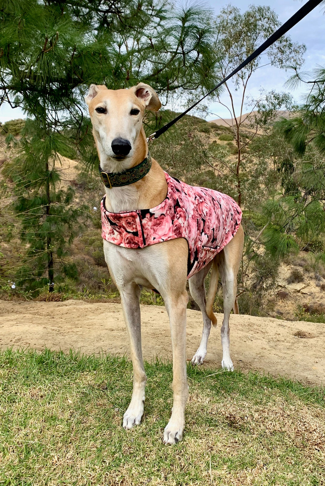 Greyhound Coat XL Dog Coat Pink, Rose, and Black Floral Fleece With