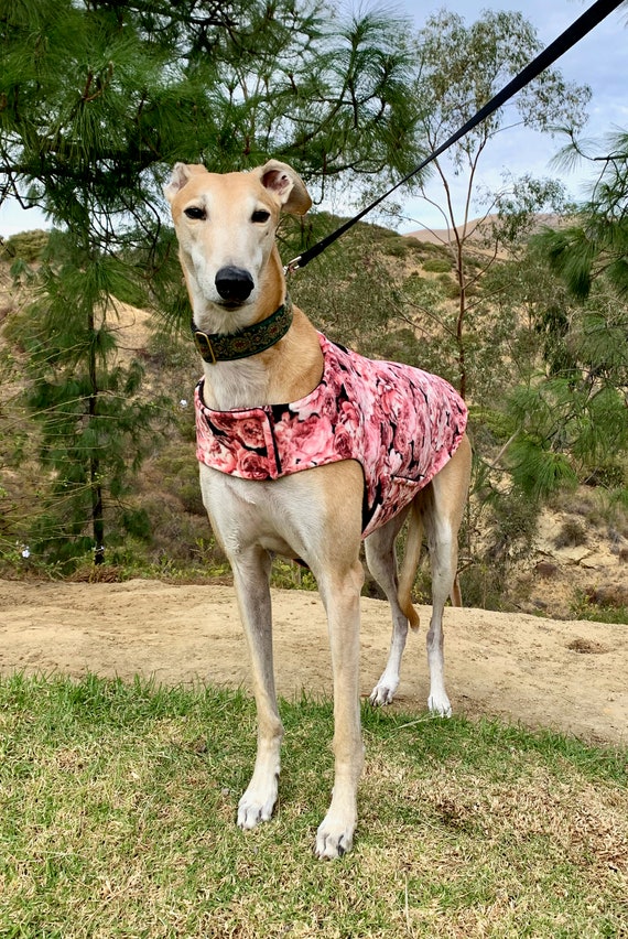Greyhound Coat XL Dog Coat Pink Rose and Black Floral Etsy