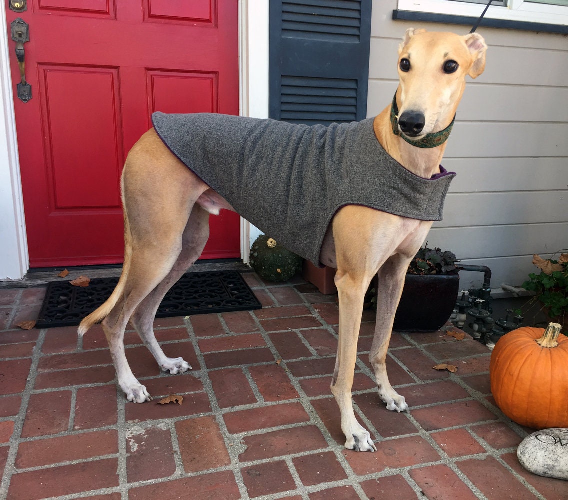 Greyhound Coat Big Dog Coat Dog Jacket Various Sizes Etsy Australia
