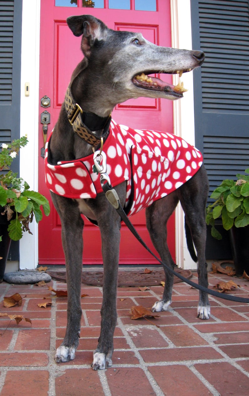 Greyhound Coat Big Dog Coat Dog Jacket Various Sizes Etsy