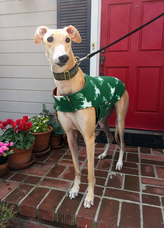Green shop dog coat