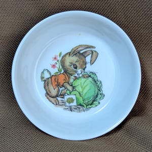 Vintage Oneida Deluxe 1970s Peter Rabbit Cabbage Patch Cereal Bowl Melamine 3258