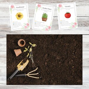 Juego de rol dramático del Centro de Jardinería de Primavera