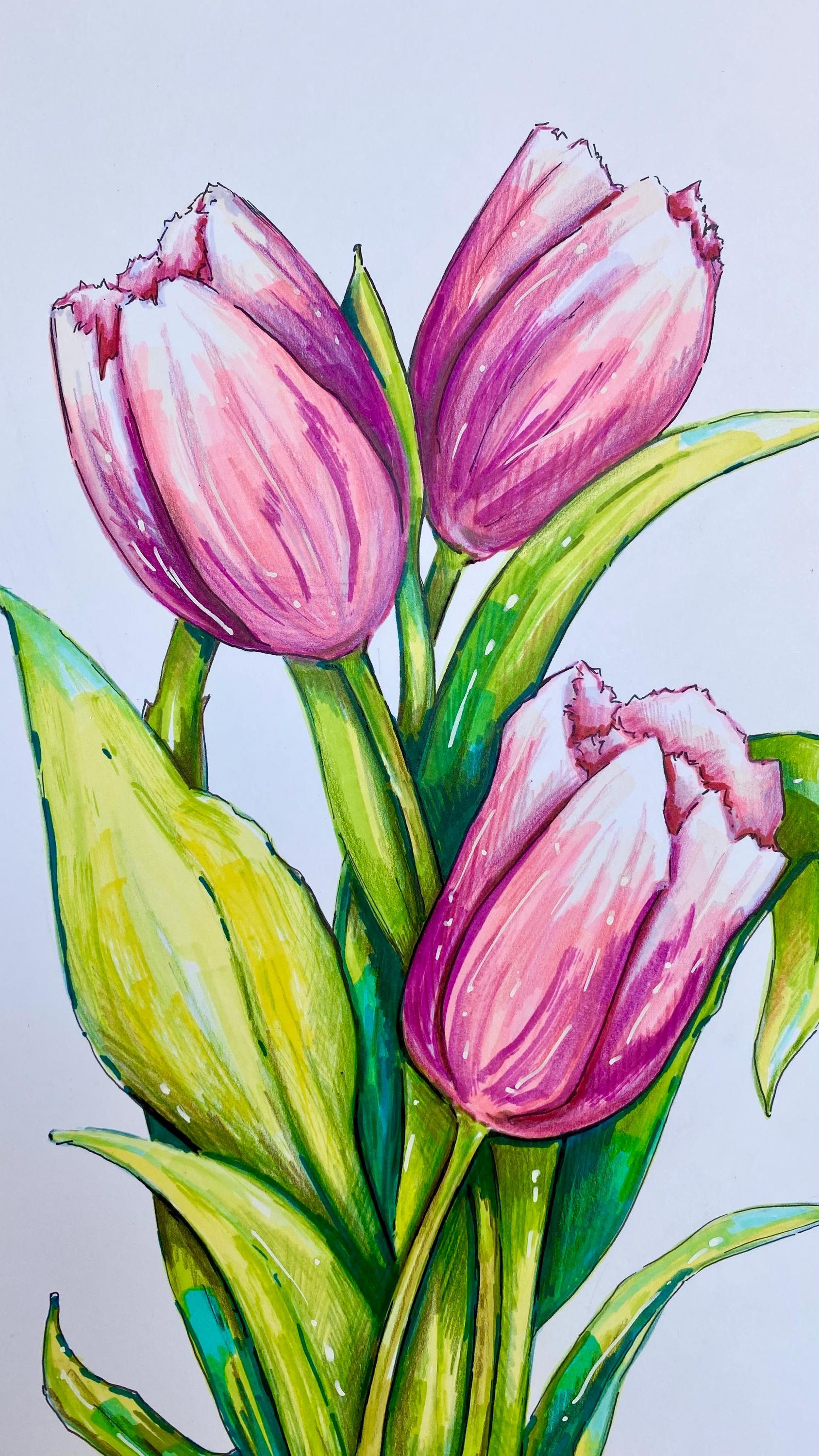 Pink Tulips Art - Original Floral Marker Drawing, A4 Botanical Illustration, Hand-Drawn Artwork
