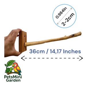 Op de afbeelding: Een natuurlijke houten zitstok met een rechthoekige montagebasis. De zitstok is 36 cm lang en heeft een diameter van 2-2 cm. Het hout heeft een lichtbruine, getextureerde afwerking met een kleine takknoop zichtbaar op de horizontale staaf.
