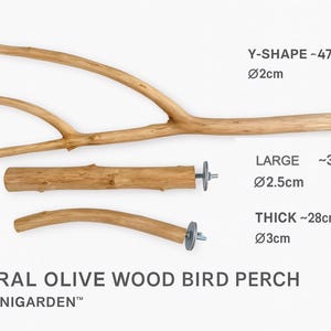 3 fågelsittpinnar i naturligt olivträ | Handgjorda på Cypern | PetsMiniGarden™