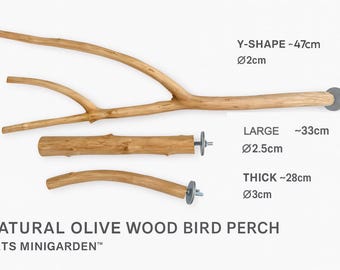 Natürliche Olivenholz Vogel Sitzstange | Handarbeit aus Tibet | Sicheres Papagei-Accessoire